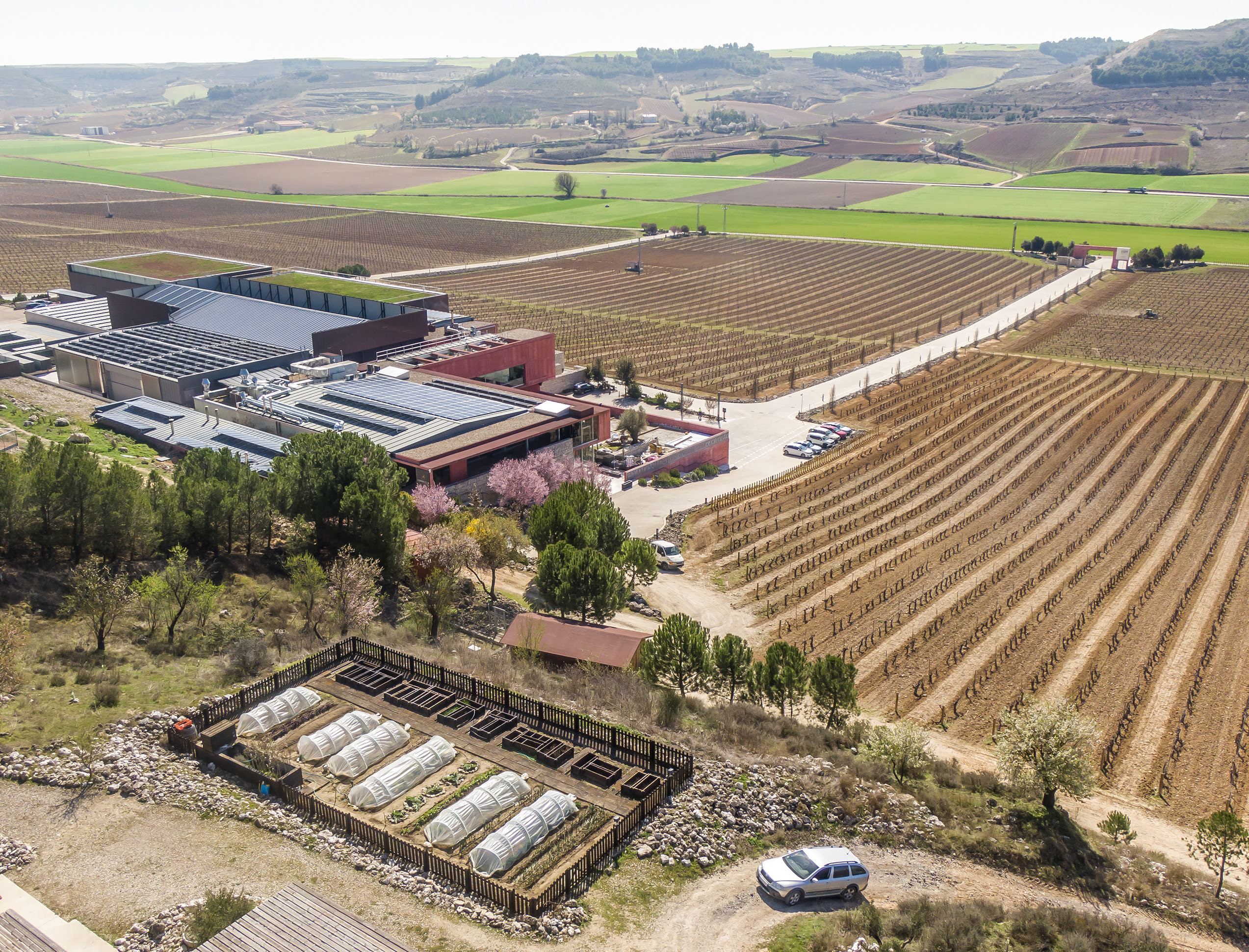 Ambivium consigue la Estrella Verde Michelin y su chef Cristóbal Muñoz recibe el Young Chef Award