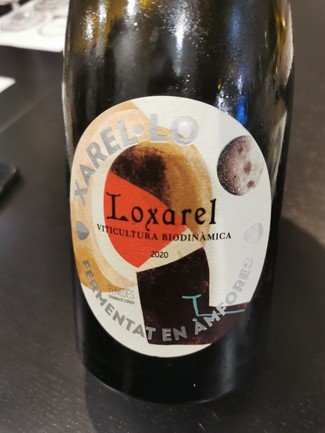 Loxarel Xarel lo d ámfores 2020