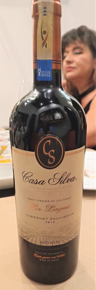 Rico cabernet chileno