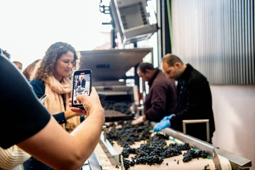 La cuadragésima vendimia de Ribera del Duero muestra la diversidad de la DO