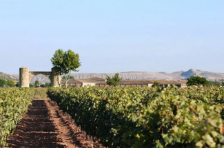 El Consejo Regulador de la DOCa Rioja afronta 2023 con un presupuesto superior a los 16 millones de euros