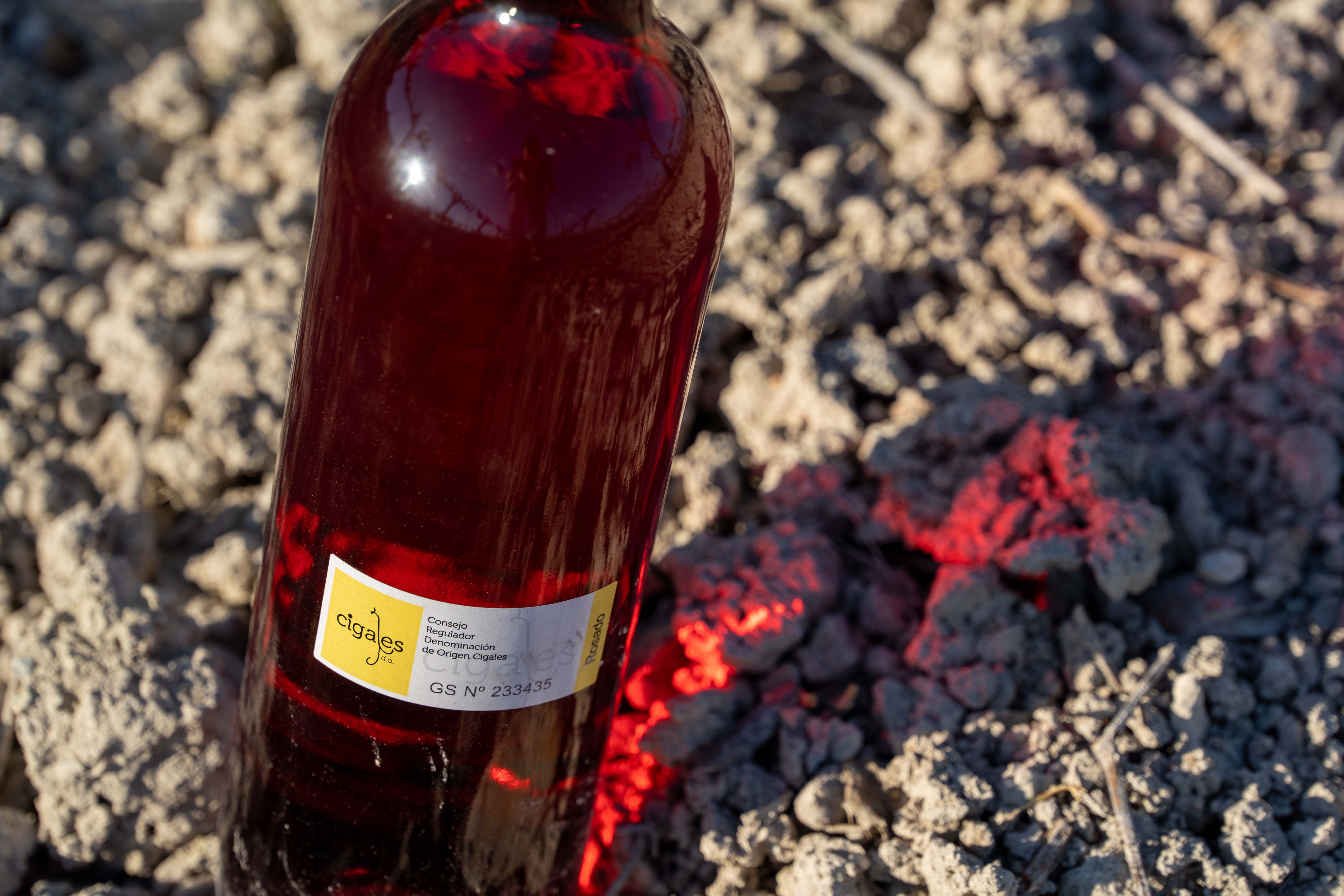 La D.O. Cigales recupera los 4 millones de contraetiquetas, incrementando un 12,75 % la cifra del año pasado