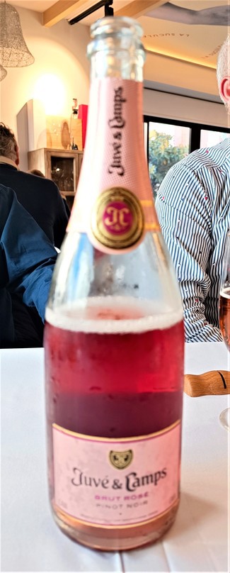 Delicioso pinot noir espumoso
