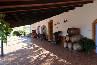 Conociendo las bodegas de Ribera del Guadiana: Bodegas Toribio - Viña Puebla