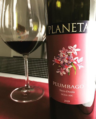 Planeta Plumbago 2019