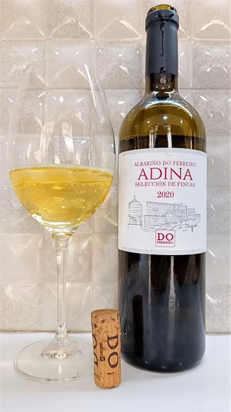 Delicioso albariño!!