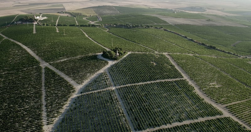 THE MACALLAN Y GRUPO ESTÉVEZ firman una alianza estratégica