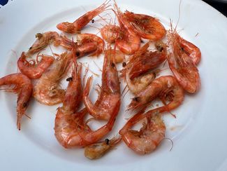 gambas