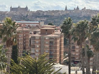 vista Toledo desde terraza