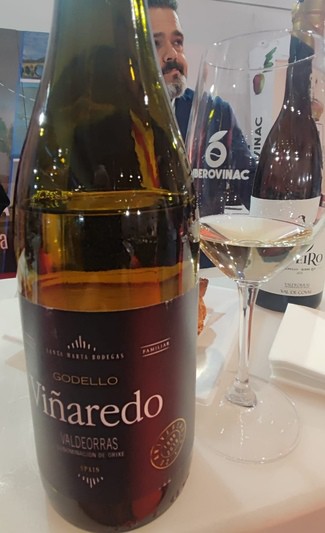 Godello Viñaredo 2021