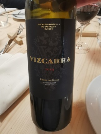 Vizcarra 15 meses 2019