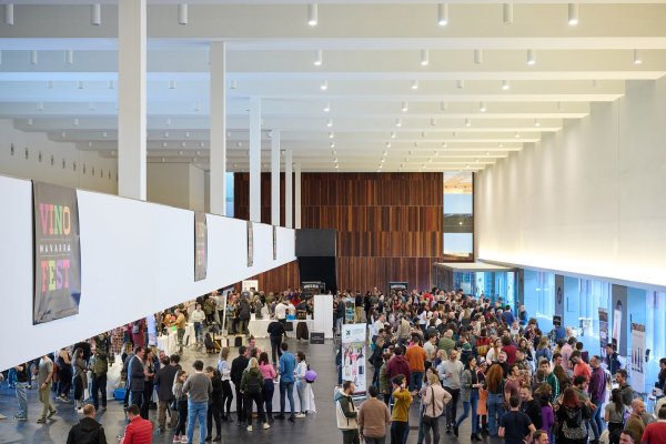 Éxito en la décima edición de Vinofest Navarra