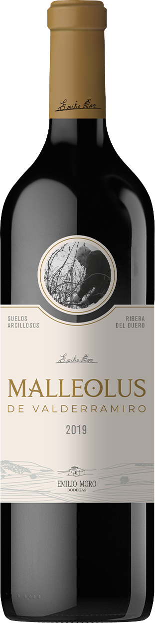 Malleolus de Valderramiro 2019
