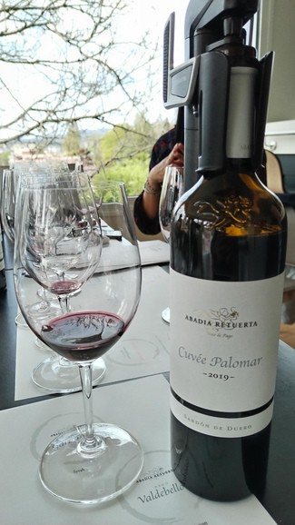 Abadía Retuerta Cuve Palomar 2019