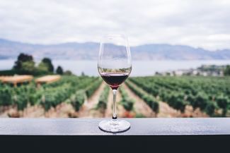 El Sueño de Megala 2018: Una joya vinícola que sorprenderá a los amantes del vino