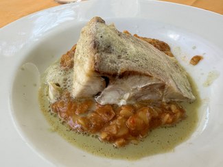 corvina