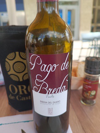 Vino D.O. Ribera de Duero