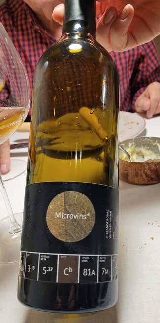 La Vinyeta Microvins DO Empordà 2019