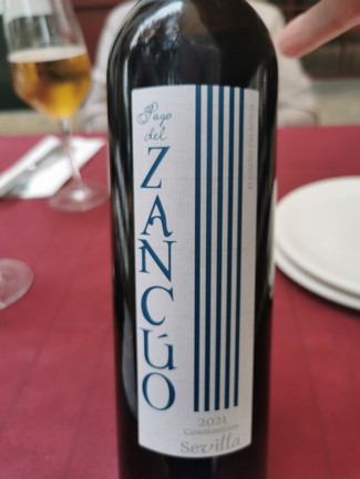 Pago del Zancúo 2021