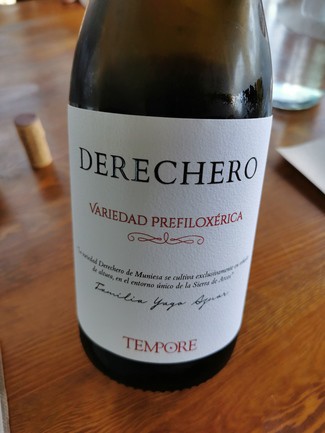 Derechero Variedad Prefiloxérica 2021