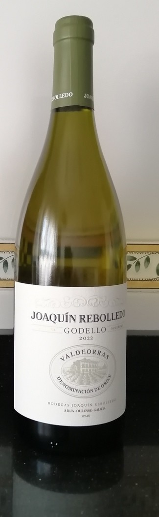 Joaquín Rebolledo Godello 2022