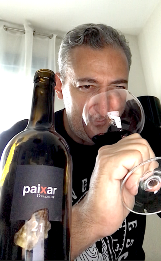 Paixar Dragonte 2021