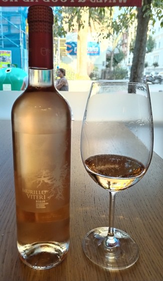 Murillo Viteri Rosado 2022