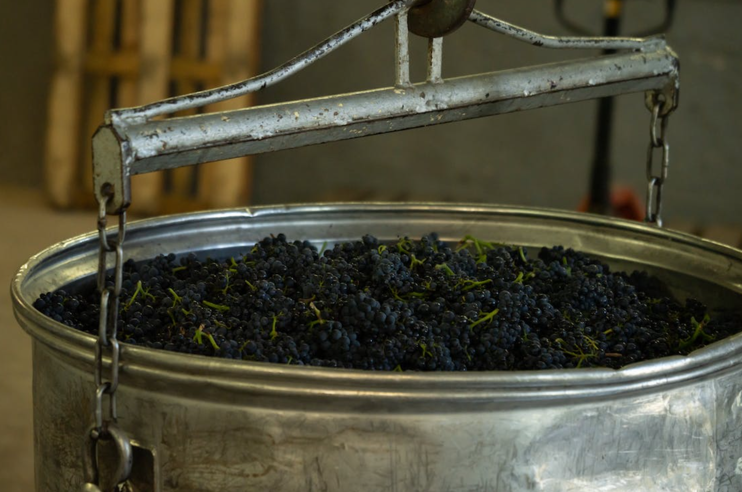 Maceración carbonica