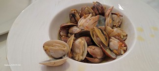 Almejas finas a la sarten