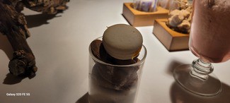 Macaron de manzanilla y calendula