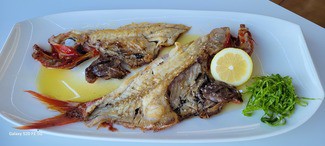 Rey a la brasa
