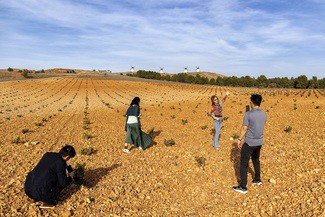 Misión inversa de periodistas de Asia para conocer la DO La Mancha en plena vendimia