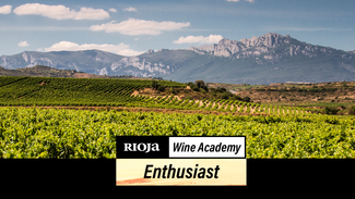 Rioja lanza el primer curso exprés con el que adquirir conocimientos básicos para disfrutar (aún más) del vino