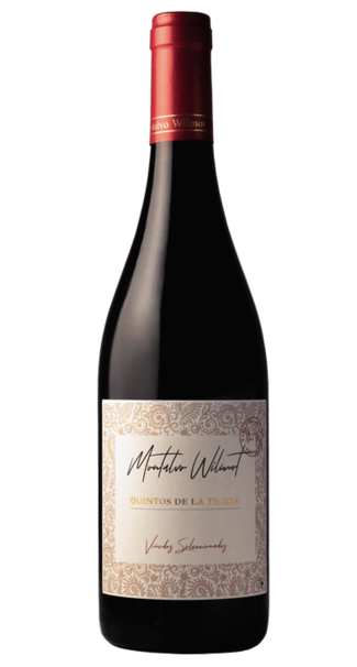 Quintos de la Tejera 2021