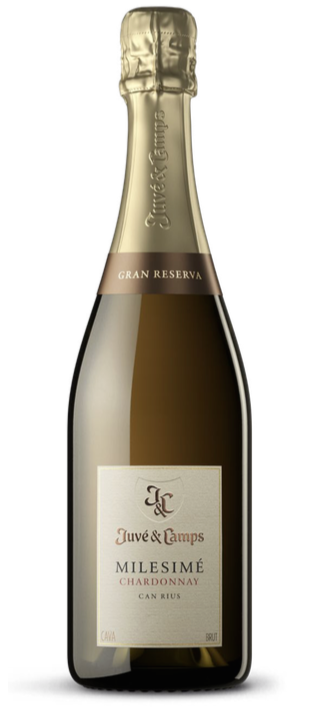 Juvé&Camps Milesimé Chardonnay Gran Reserva Brut Can Rius 2019