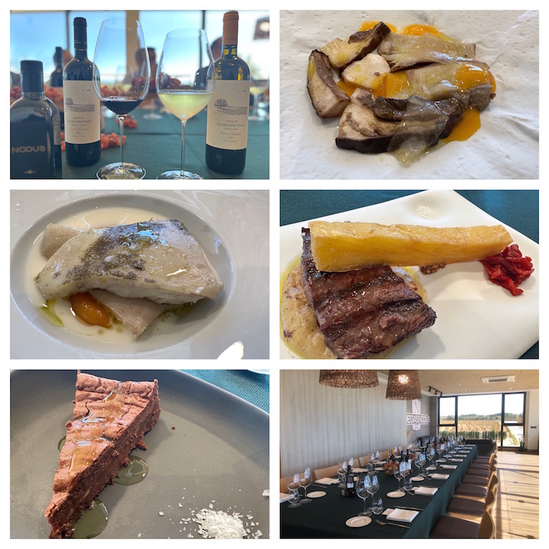 Ocho Encinas Blanco y Tinto 2021, los nuevos estandartes de Bodegas Nodus