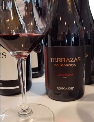Terrazas del Moncayo 2019