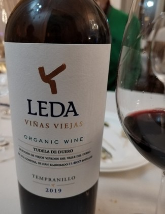 Leda Viñas Vieja 2019