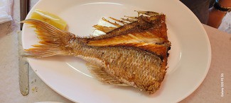 Bocinegro a la brasa