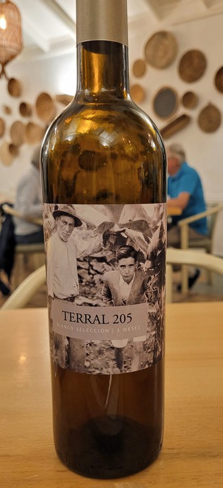 Terral 205 blanco selección 2022