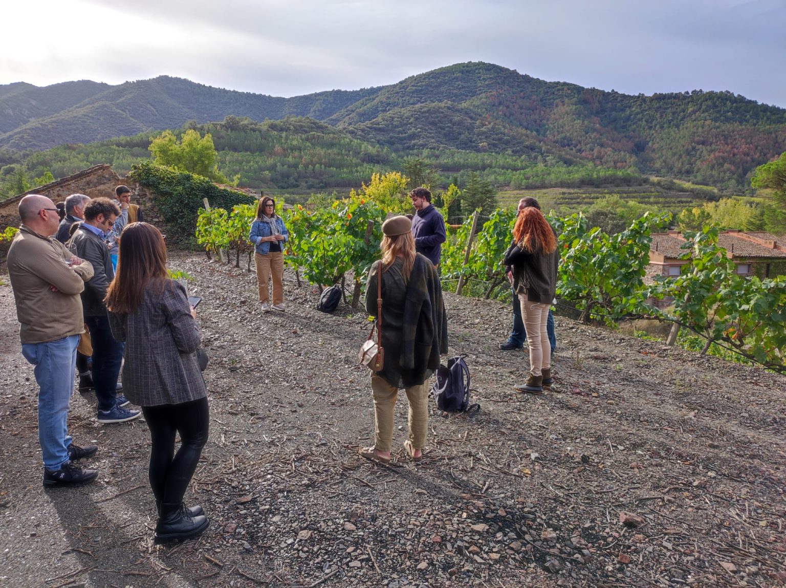 Sostenibilidad, Internacionalización y Consenso, el 2023 de la DO Montsant