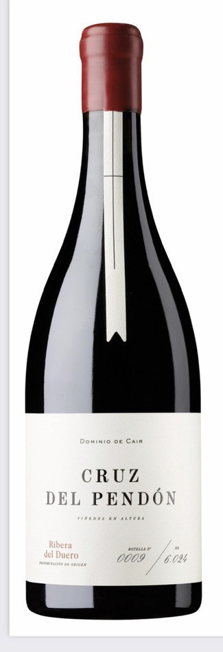 Cruz del Pendón 2020