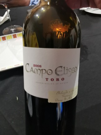 Campo Eliseo Toro 2008