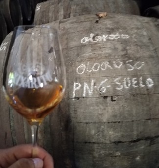 Xixarito Oloroso S/A