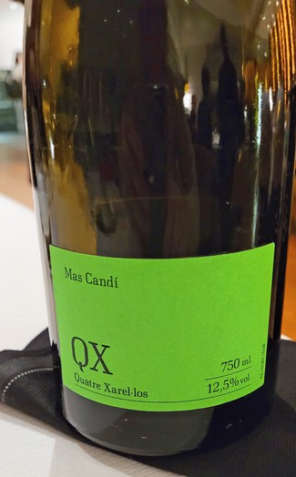 Mas Candi QX 2022