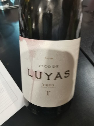 TRUS Pico de Luyas 2019
