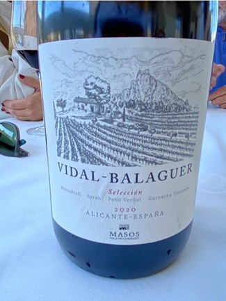 Vidal - Balaguer 2020