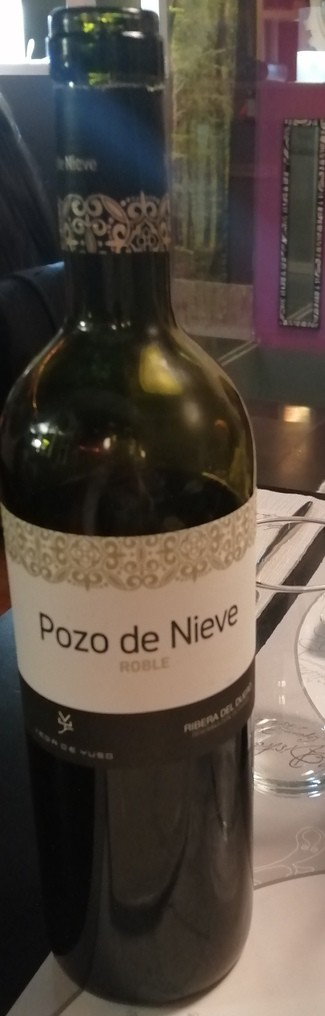 Pozo de Nieve Roble 2022