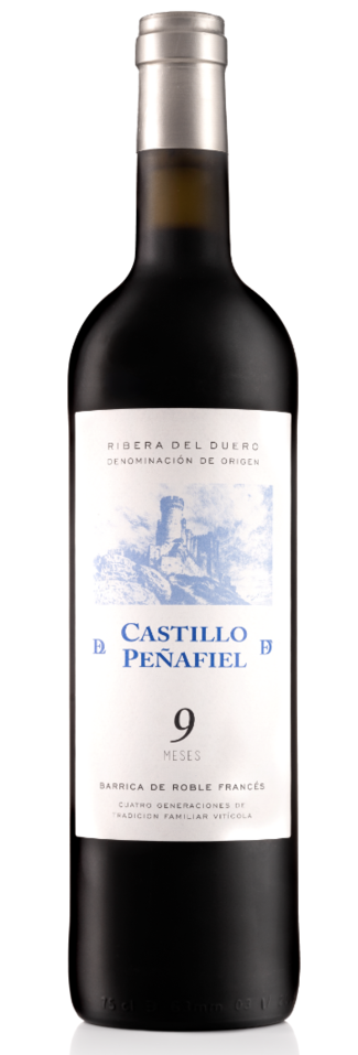 Castillo de Peñafiel 9 meses 2022