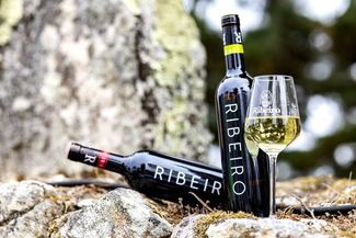 La D.O. Ribeiro triunfa en VinEspaña 2024